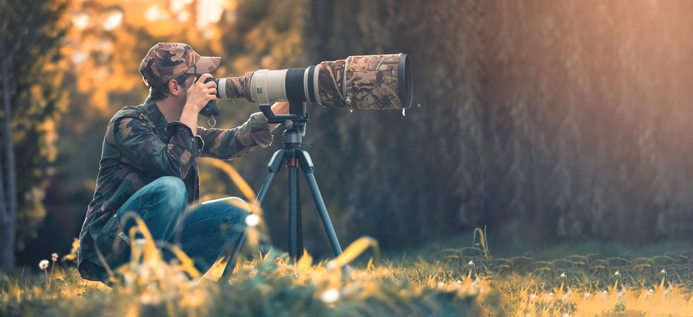 Wildlife Photography Safaris: Capturing Incredible Animal Encounters. 1 image 239